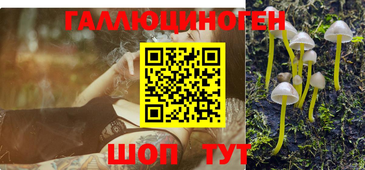 Псилоцибиновые грибы ЛСД Керчь