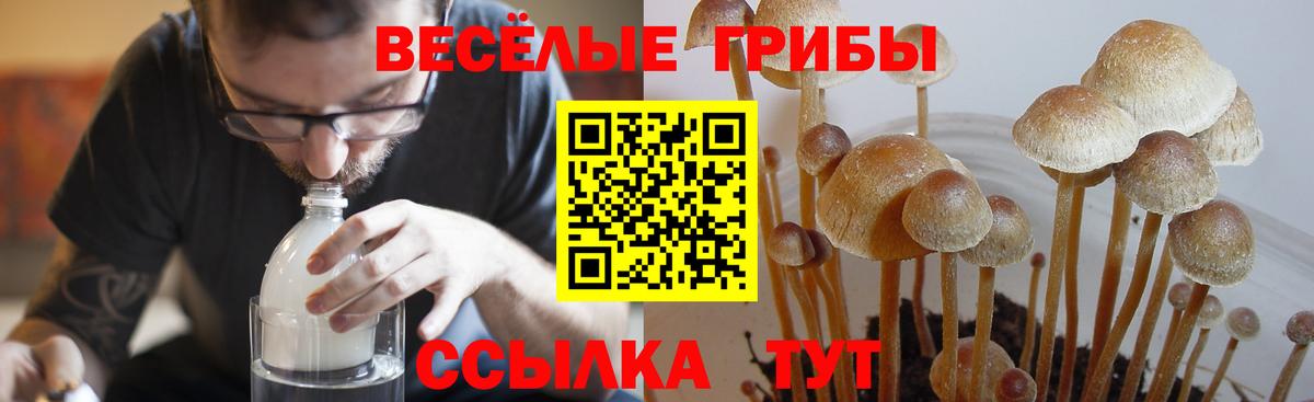 Галлюциногенные грибы мухоморы  Вход с VPN  Псилоцибиновые грибы прущие грибы  Керчь 